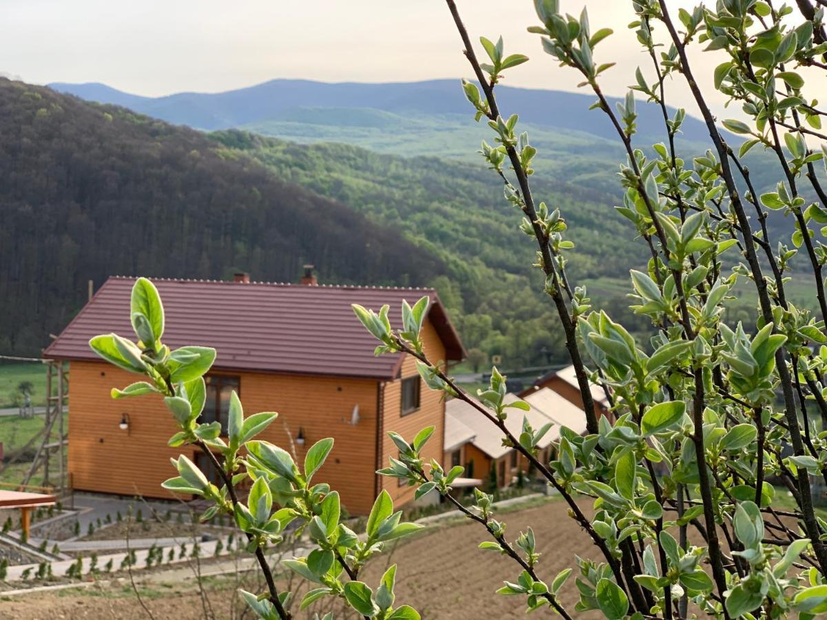 Solnce Karpat Polyana (Transcarpathia)