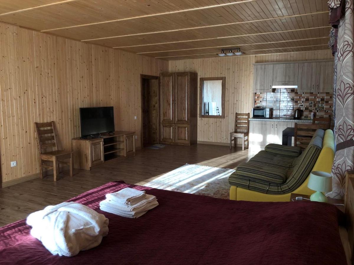 Solnce Karpat Apartment Polyana (Transcarpathia)